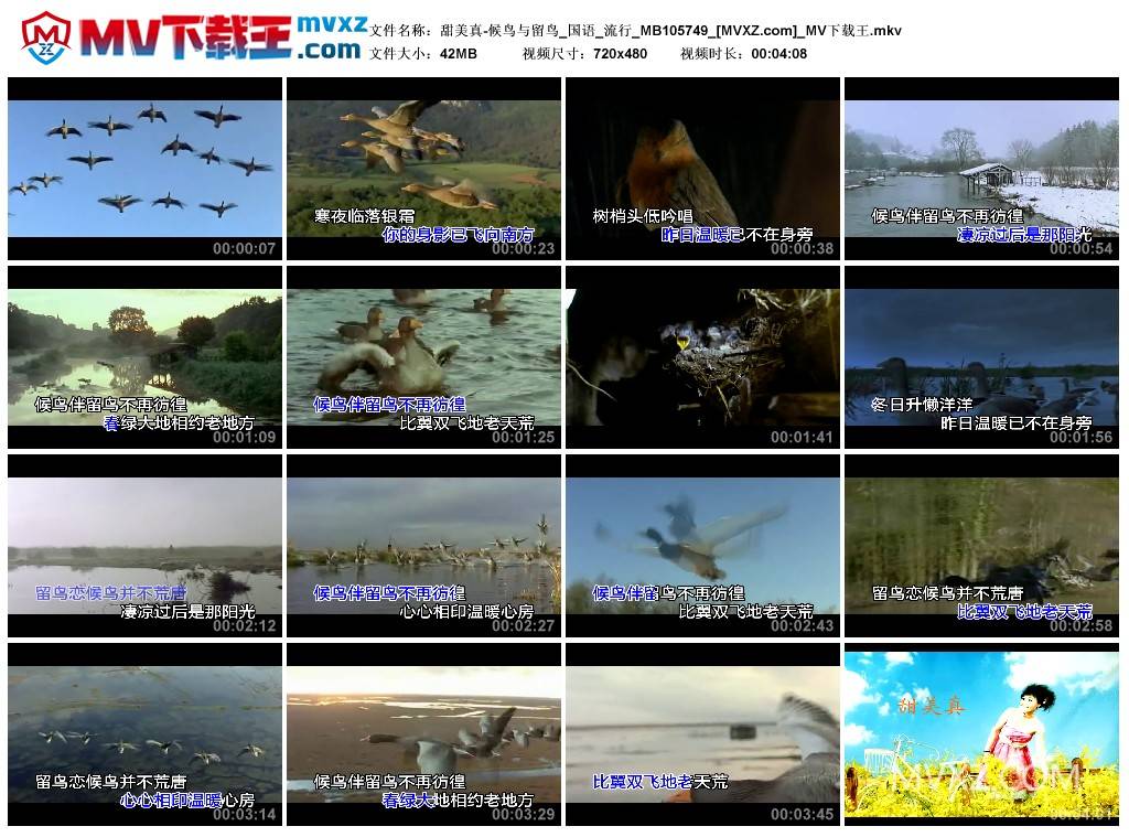 甜美真-候鸟与留鸟_国语_流行_MB105749